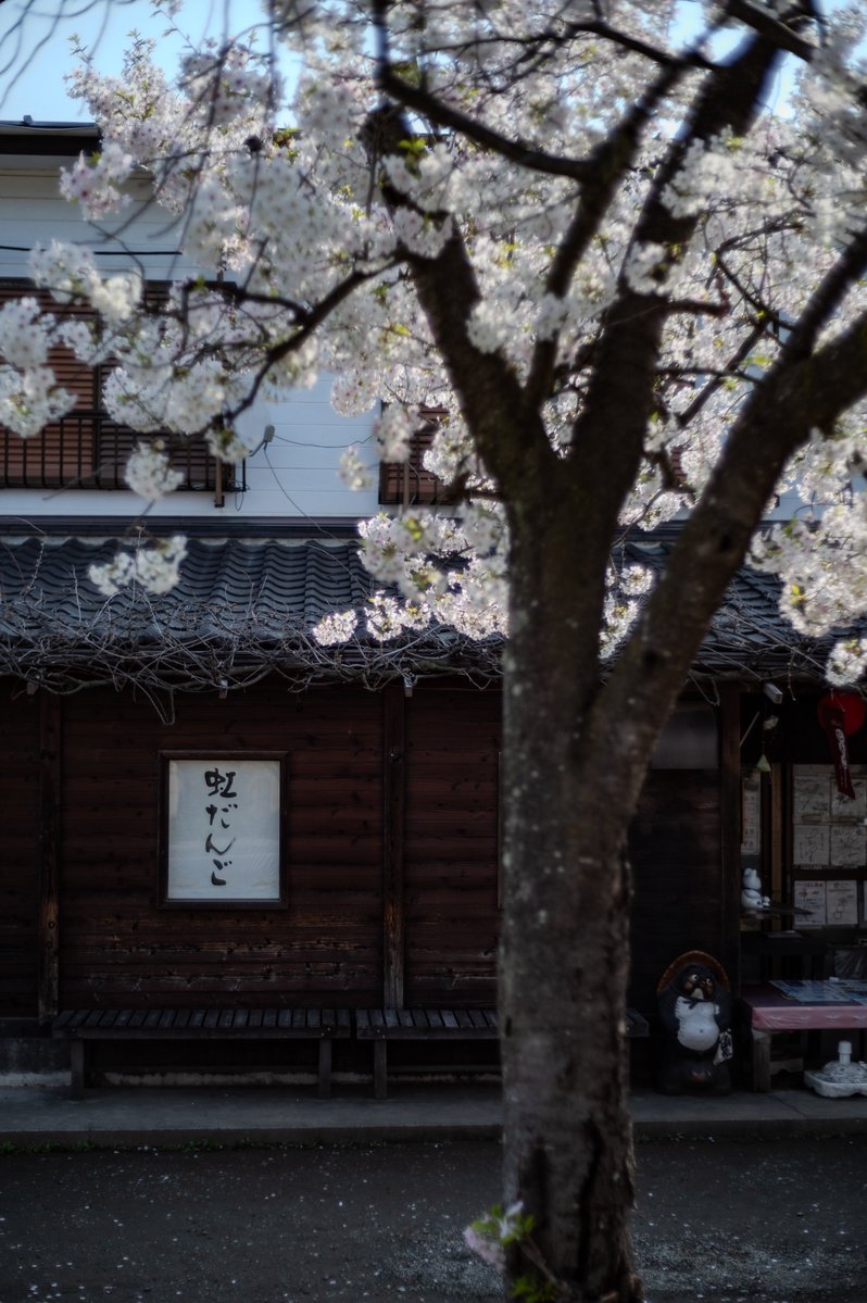 YOuSUKE_photo@NATURE4th 4/23-26 tweet media