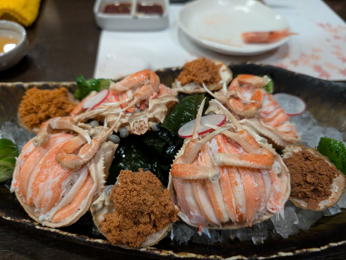 tokurontinus's tweet image. 世界の大学生、大学院生、研究者の皆さん！

私の研究室は海に囲まれた綺麗な景色の中にあります。こんな綺麗な景色のなかで生殖医療、特に受精率向上のための医療用外部デバイスを開発しています。魚も美味いし、温泉もあります。フェローシップなど気軽に相談して下さい！ #Lab