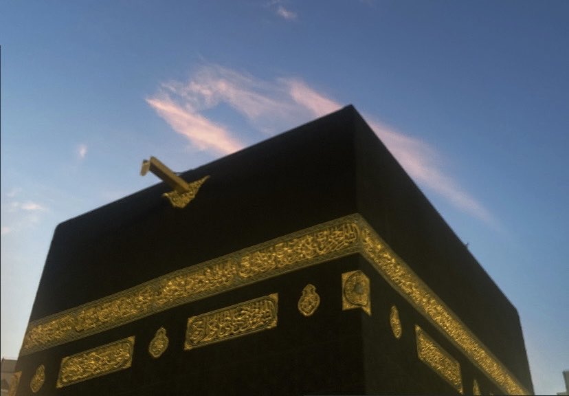 esra🪽 tweet media