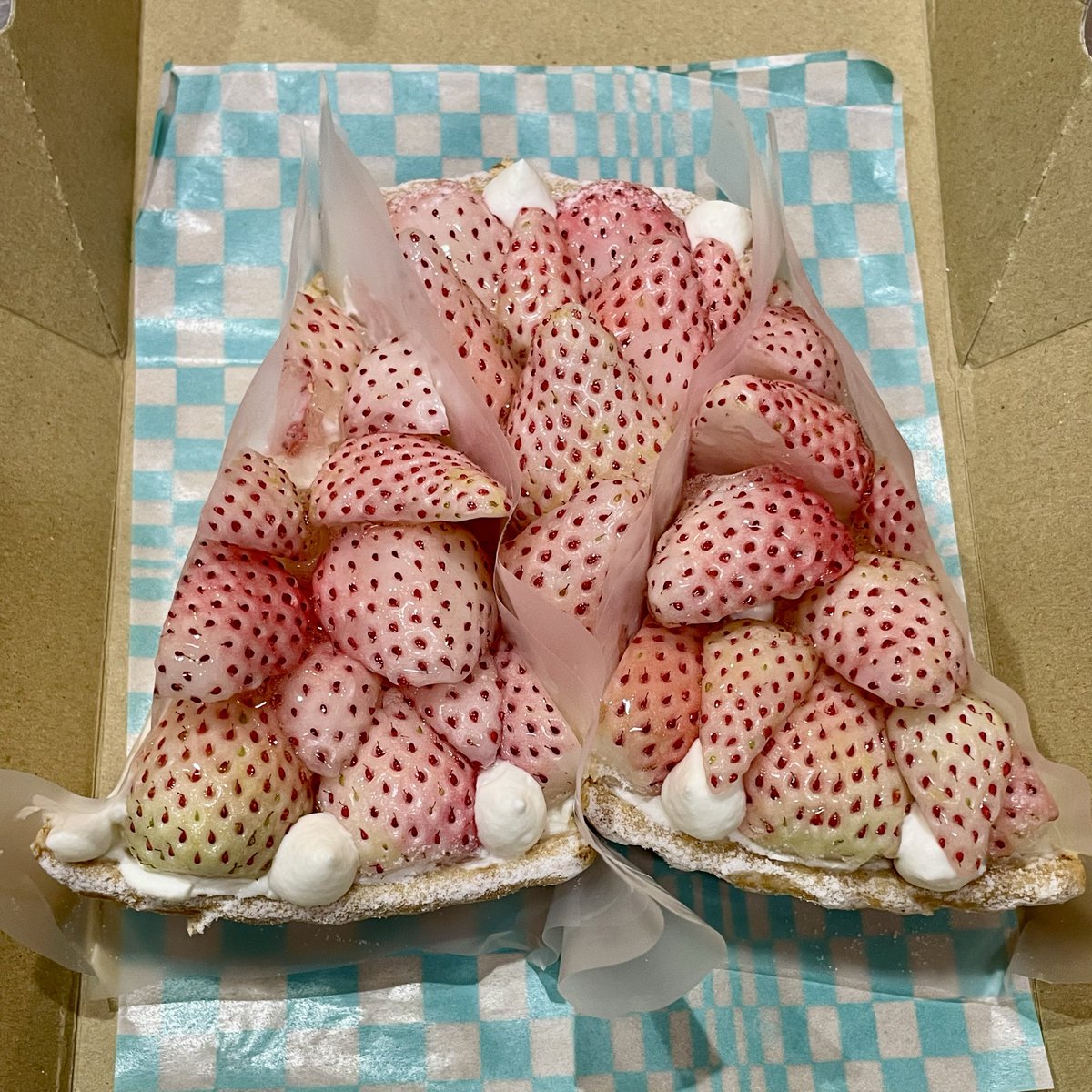 マトンカリー🍛 tweet media