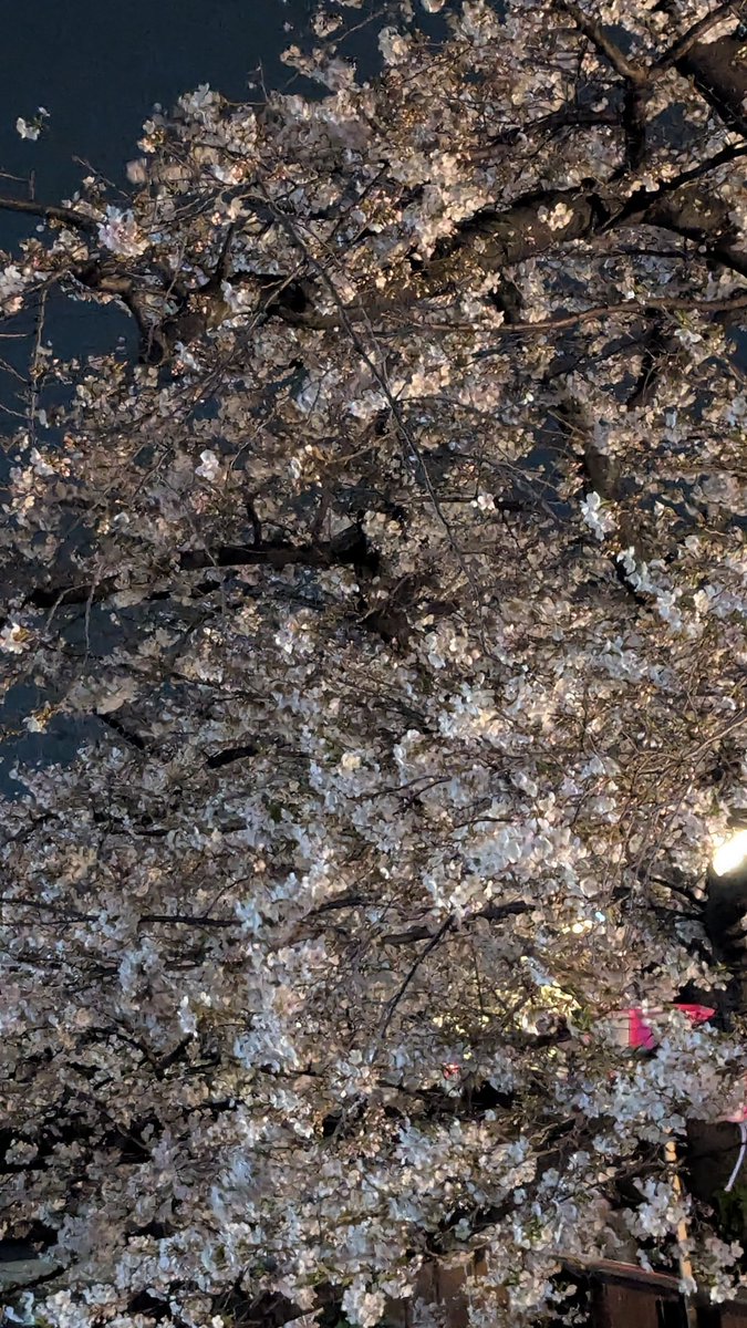 ナッツ tweet media