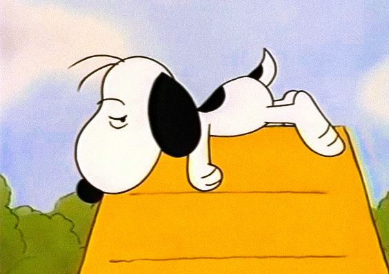 hrly soobin & snoopy 🖇️ tweet media