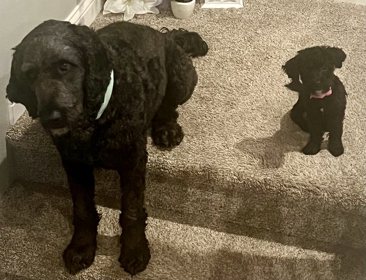 Corey Kettmann tweet media