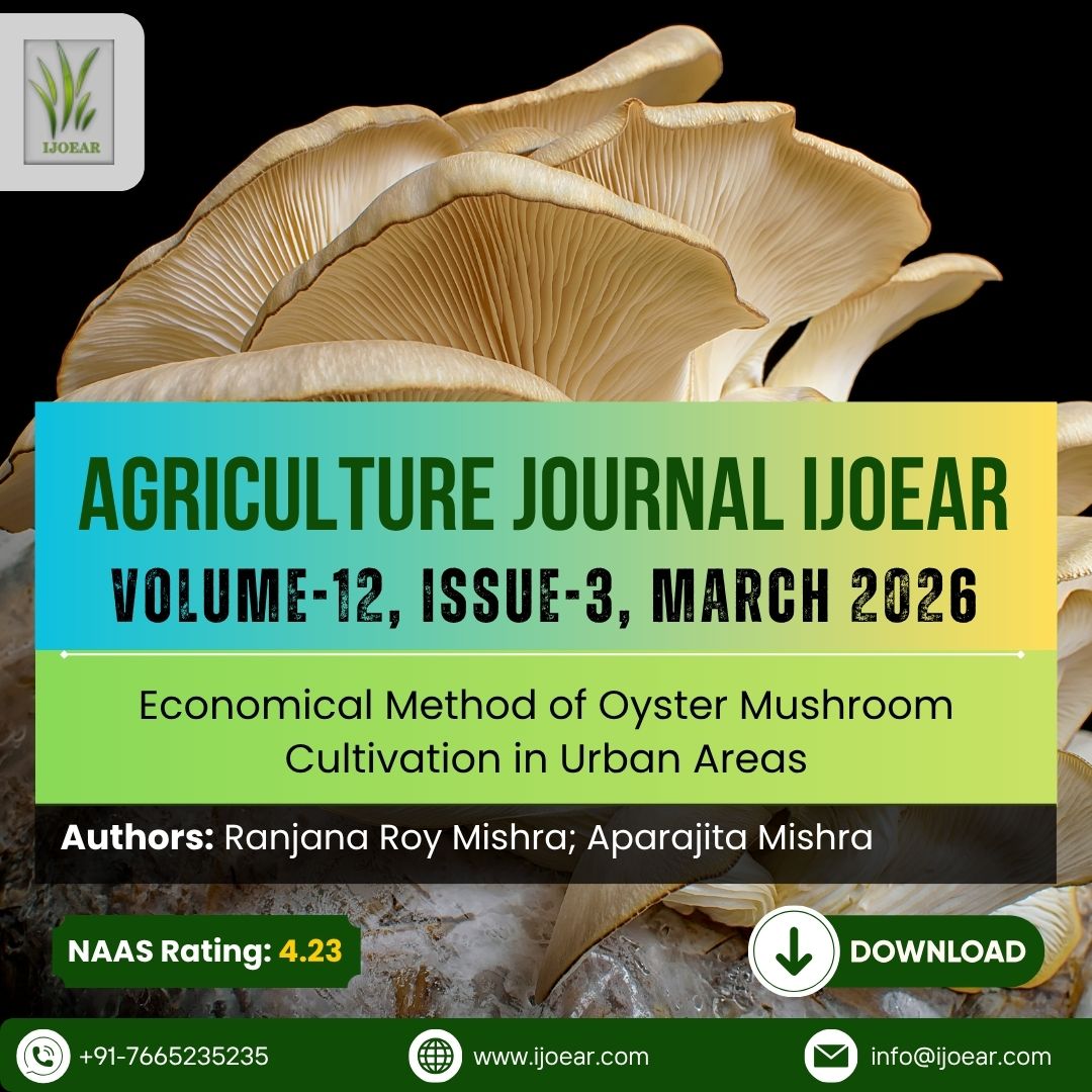 AD Publications tweet media