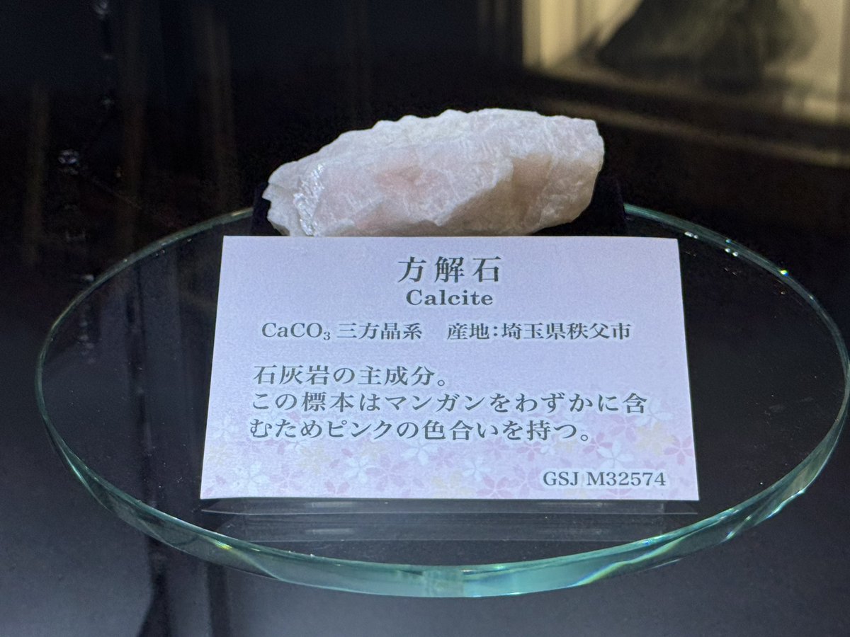 日本地質学会 tweet media