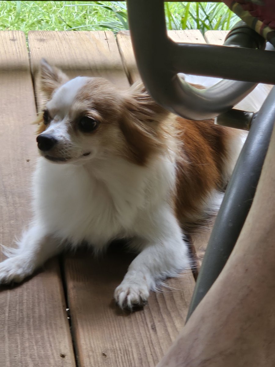 Brandon #ThankYouAJ tweet media