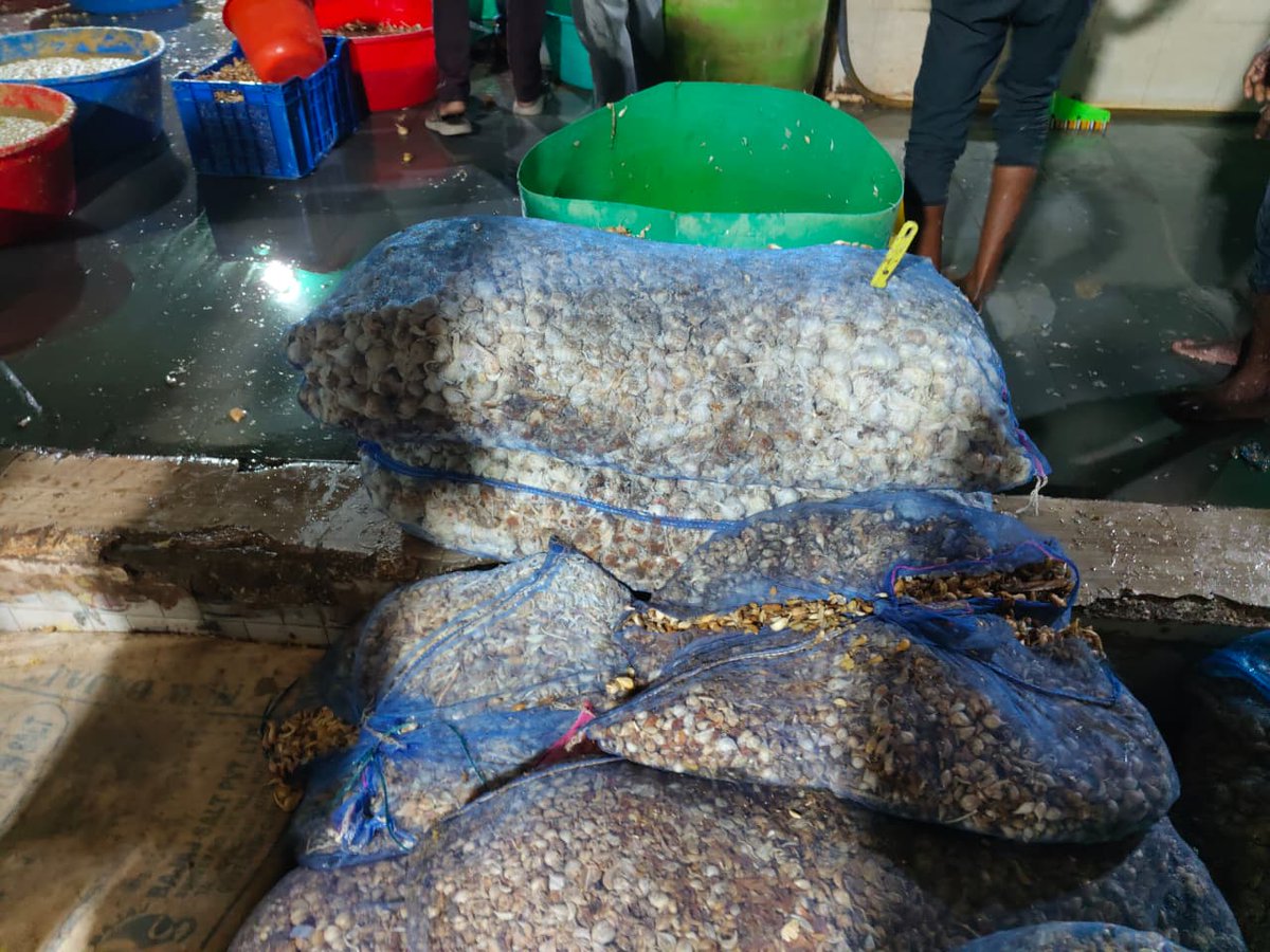 Voiceup Media tweet media