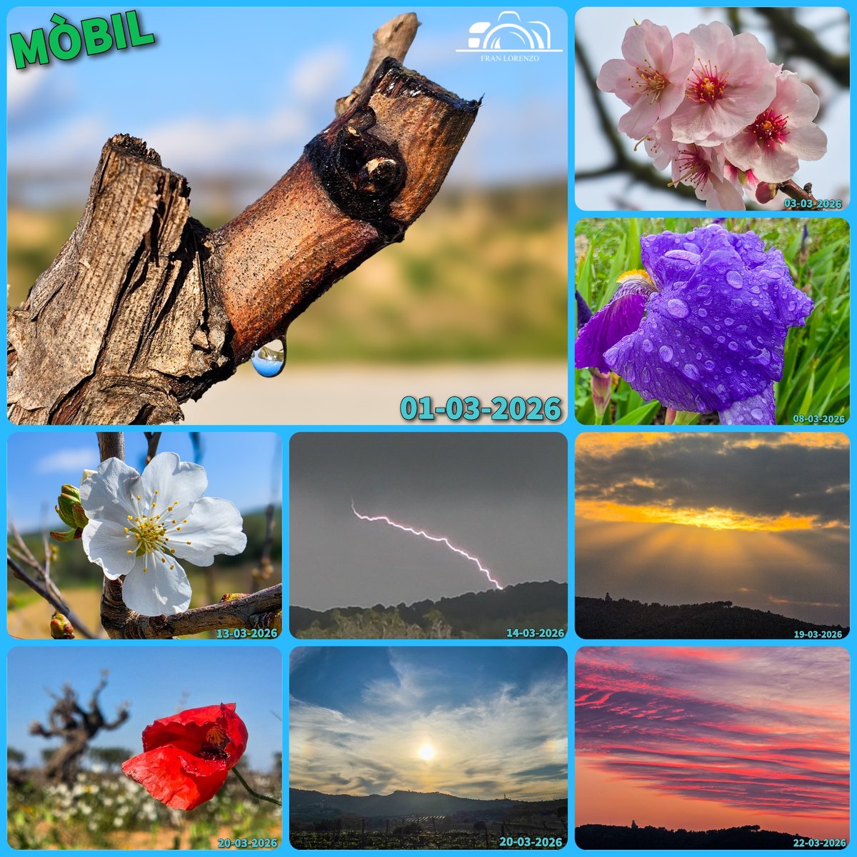 Fran Lorenzo tweet media