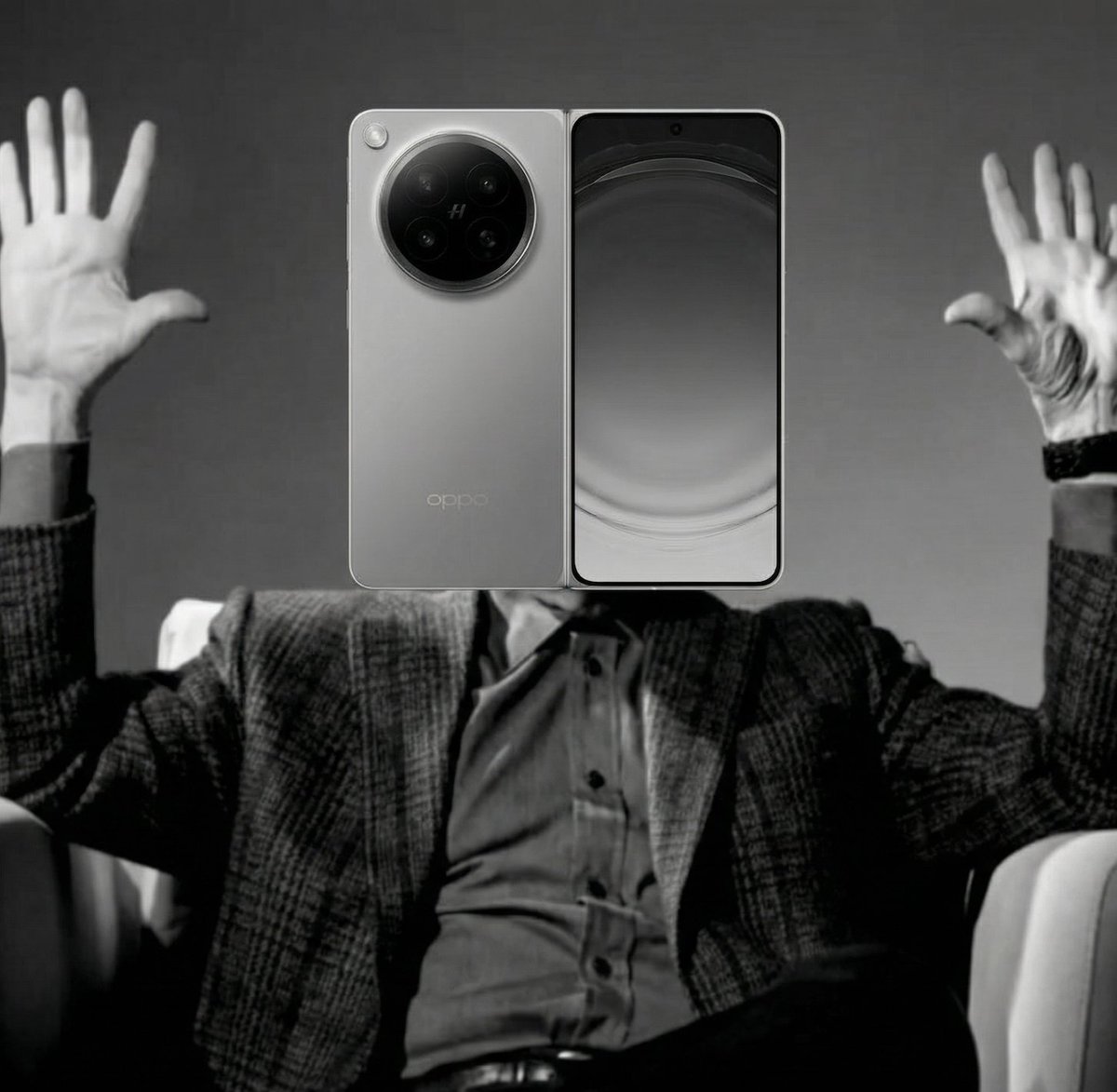 Noah Cat tweet media