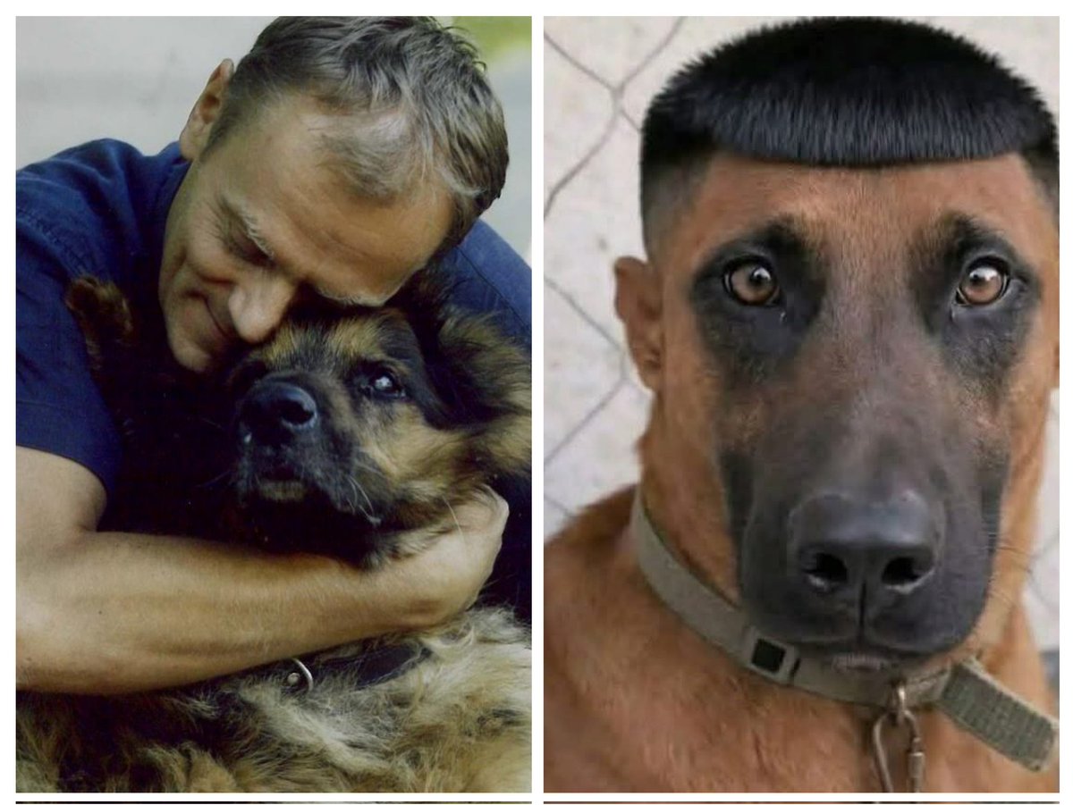 Jarek Gromulski tweet media