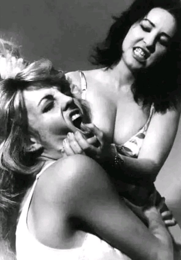 TapOut/TKO tweet media