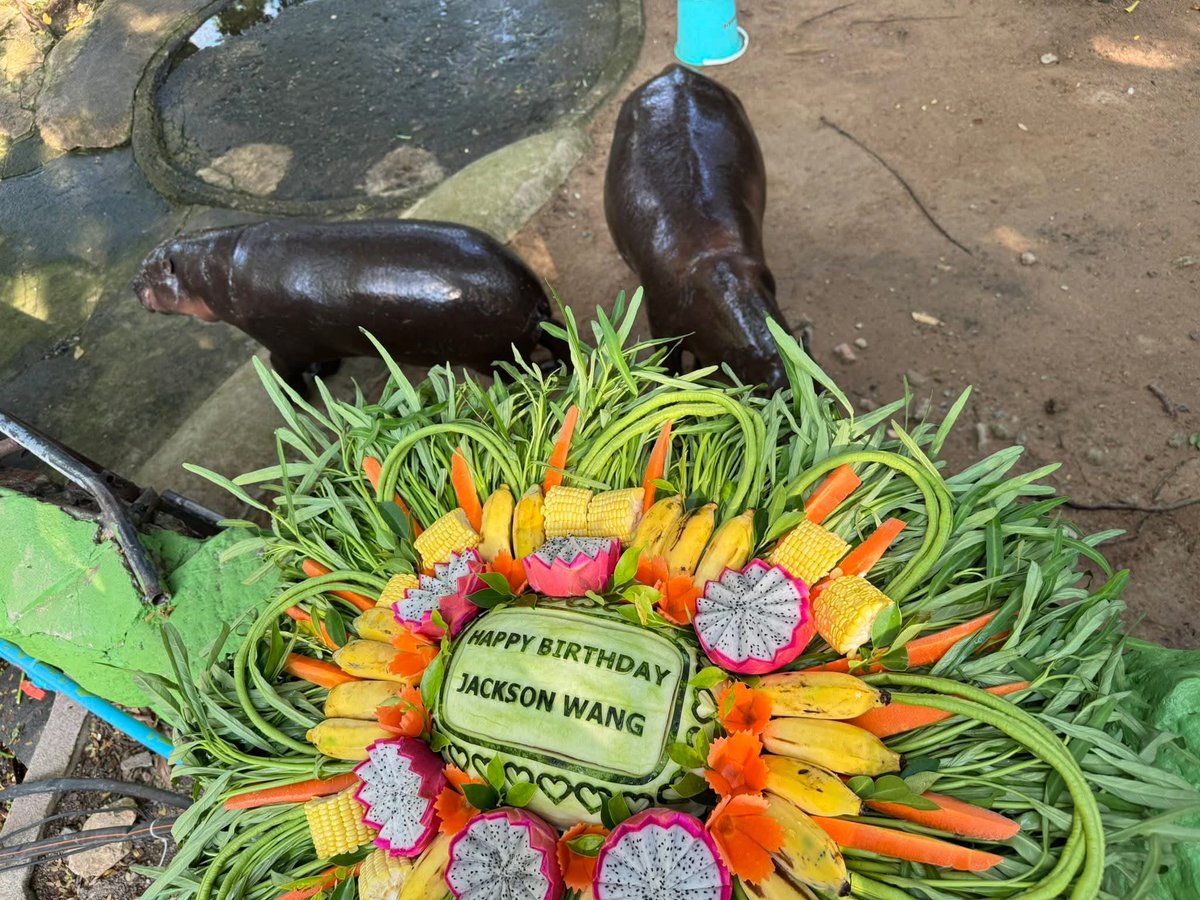 สวนสัตว์เปิดเขาเขียว Khao Kheow Open Zoo tweet media