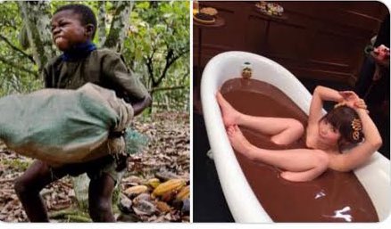 くそがきくん tweet media