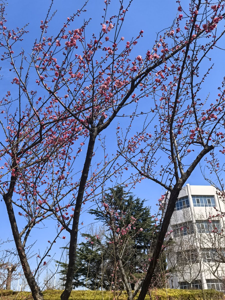 あ★ん！ NOVENA AGUNG DATEABLE (5/9) tweet media