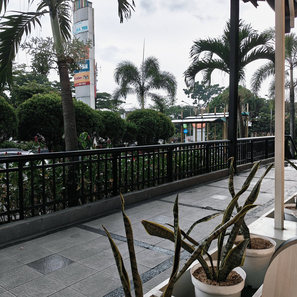 Piko 😼 tweet media