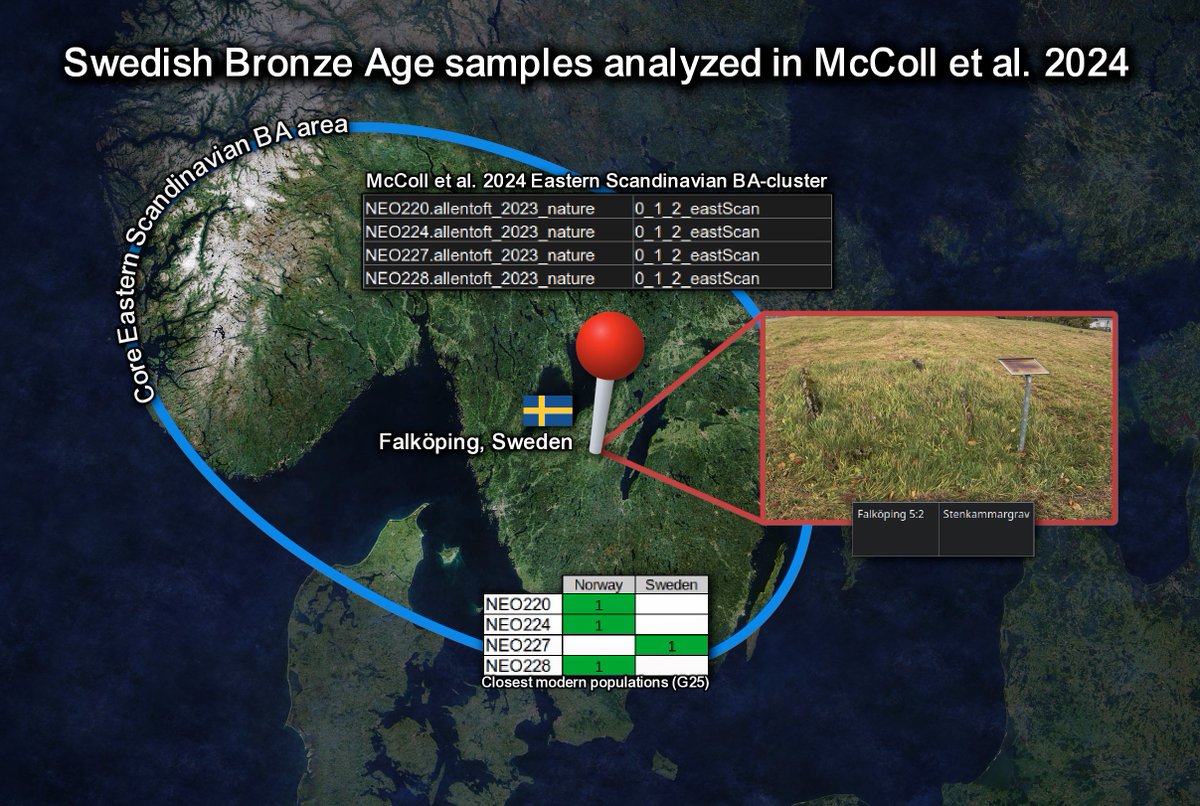 wacist wigga tweet media