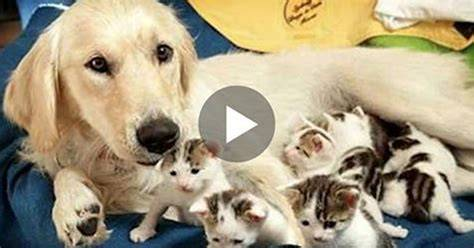 Will Agee tweet media