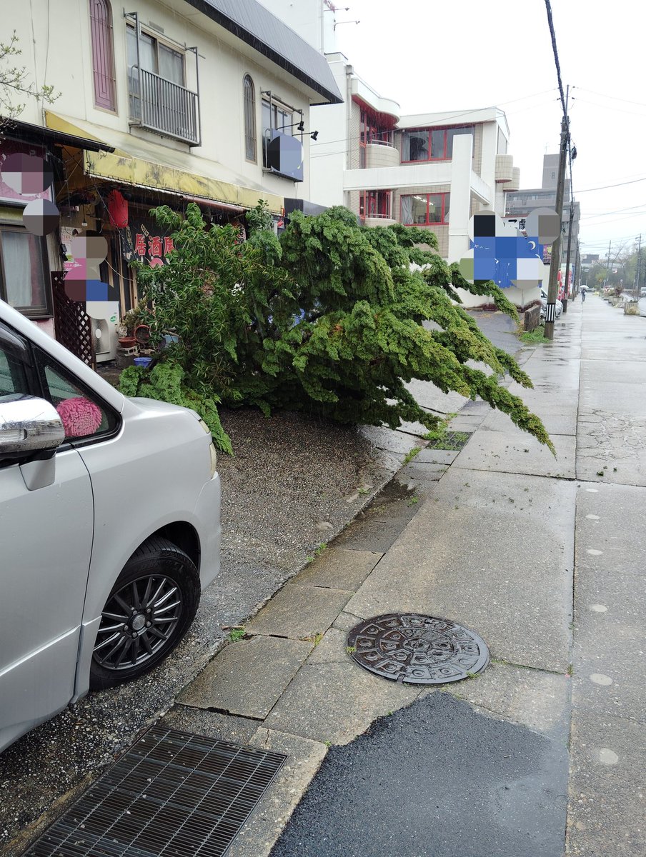 ひろ～み@うりんこ tweet media