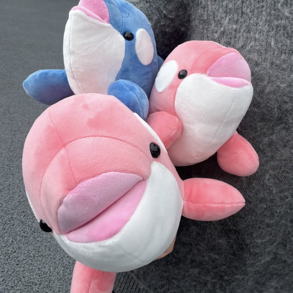 𝗅𝗎𝗇𝖺． tweet media