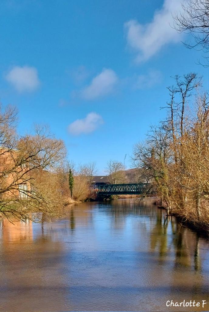 Charlotte tweet media