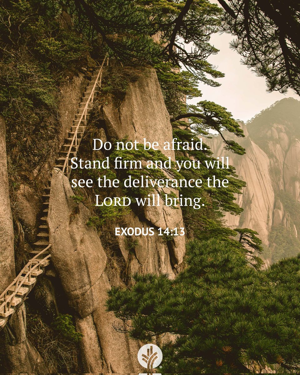 Ian Mbugua tweet media