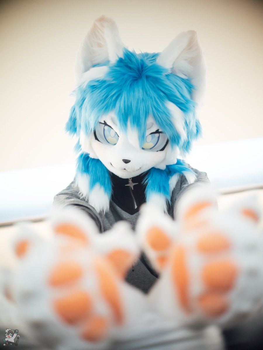 迪尔&DR🔜兽行迹 tweet media