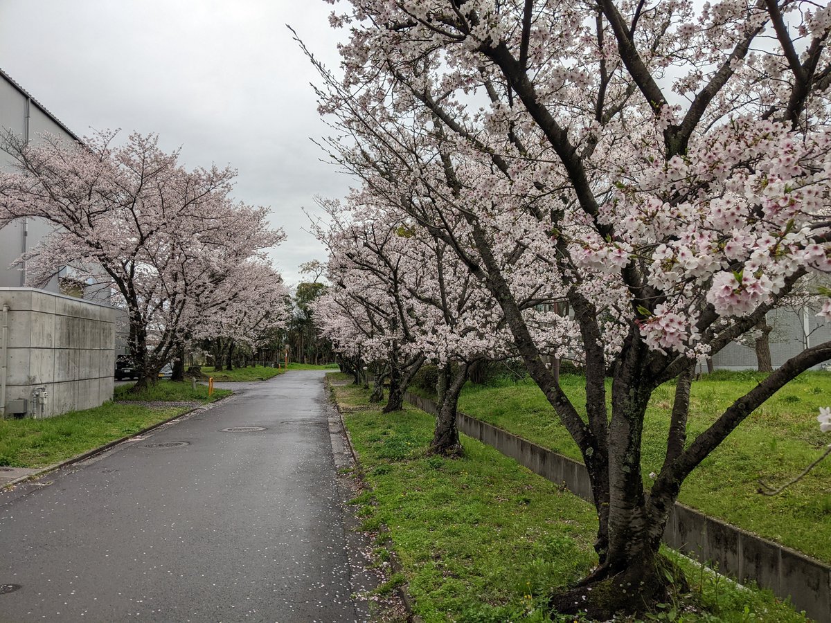 Tetsuya Takemi tweet media