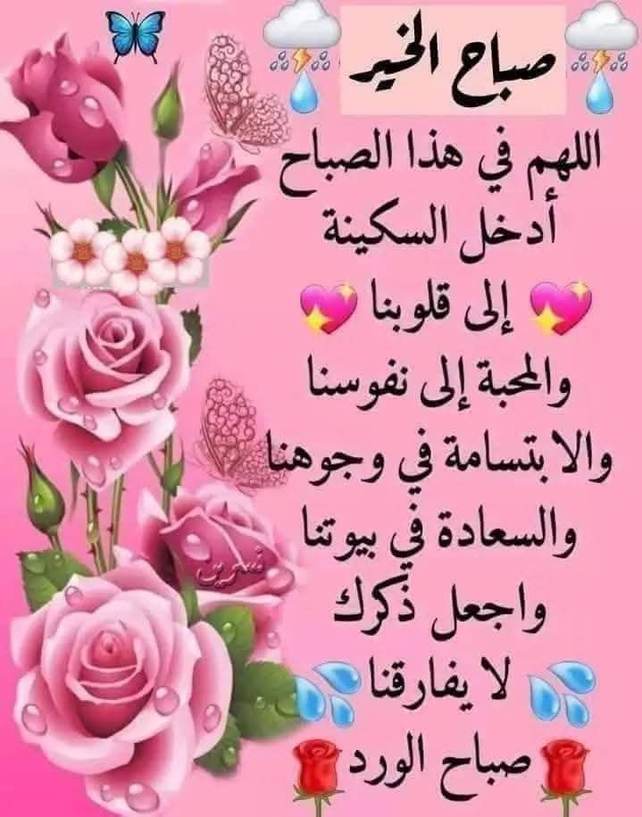 المستشار محمد الحاضري tweet media