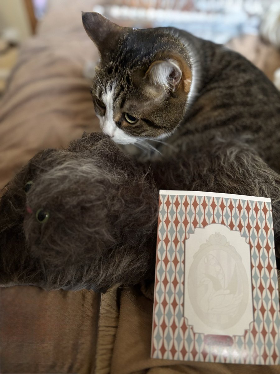 marie(マリー) tweet media