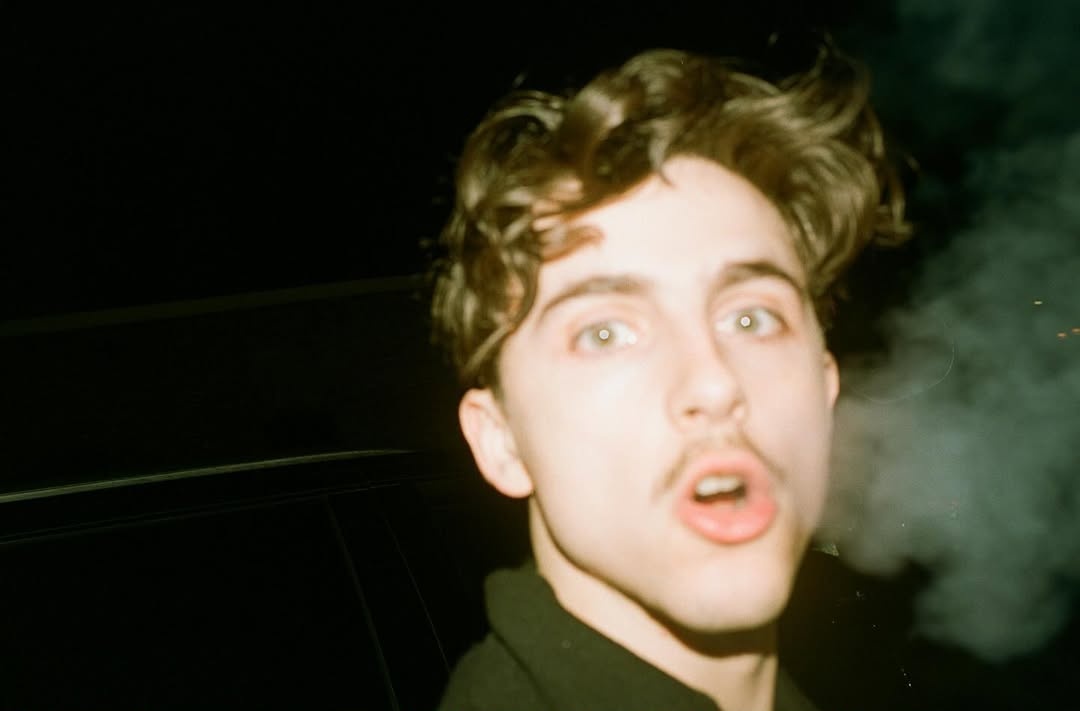 timothée chalamet's impregnator tweet media