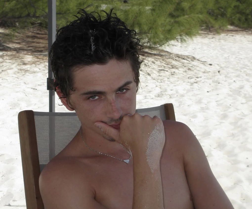 timothée chalamet's impregnator tweet media