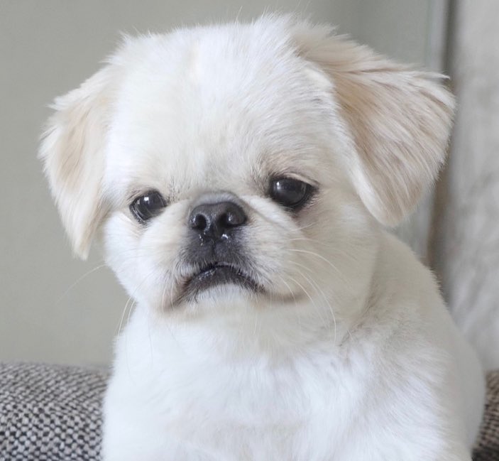 𝐿𝑂𝑉𝐸𝑌𝑂𝑈 tweet media