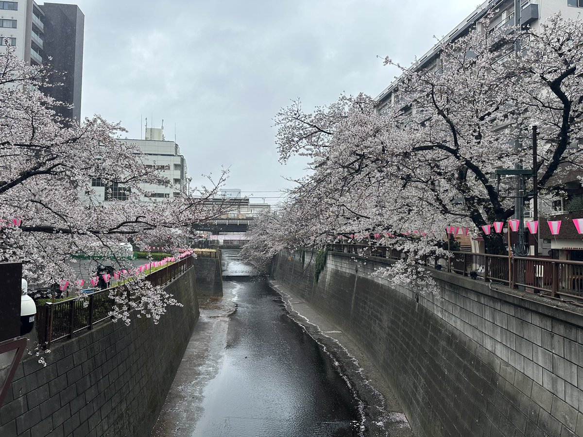 MINORUS(ミノルス) tweet media