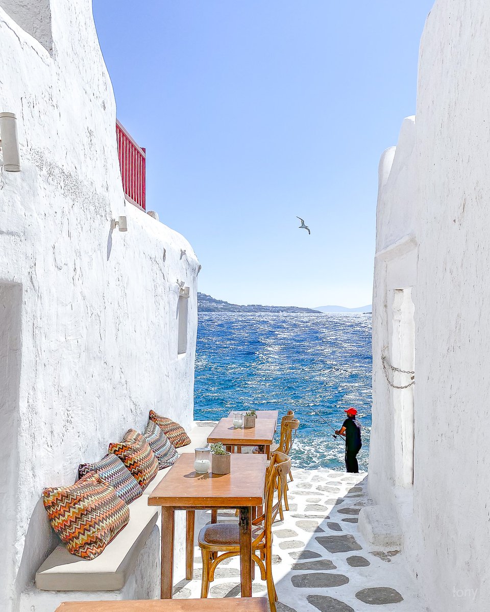 World Best tweet media