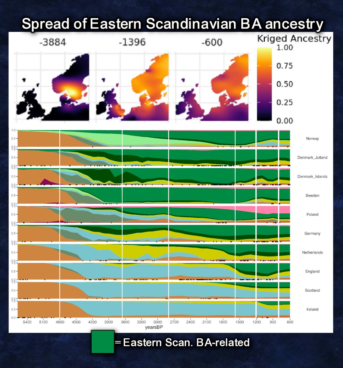 wacist wigga tweet media