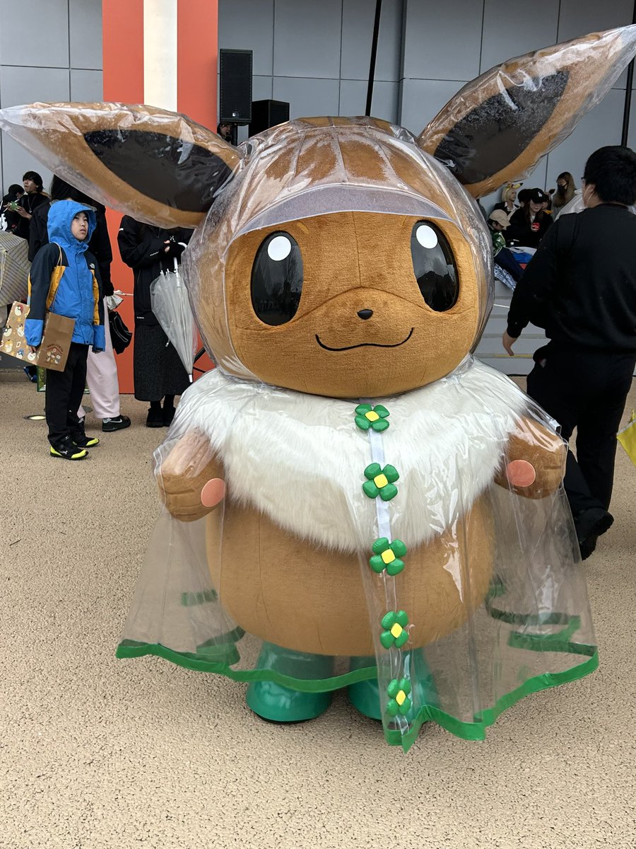 LatiLoon(ラティルーン) tweet media