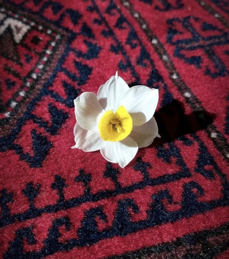 Reyh@n❤️ tweet media