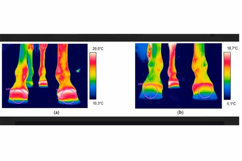Chris Ⓥ tweet media