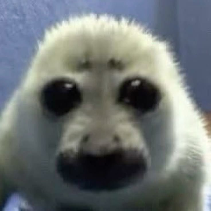 ִ ࣪𖤐 ┊͙𝑇ℋ𝓔 𝓓Ⴘ𝓘𝓝𝓖 𝓢𝓦𝓐𝓝 tweet media