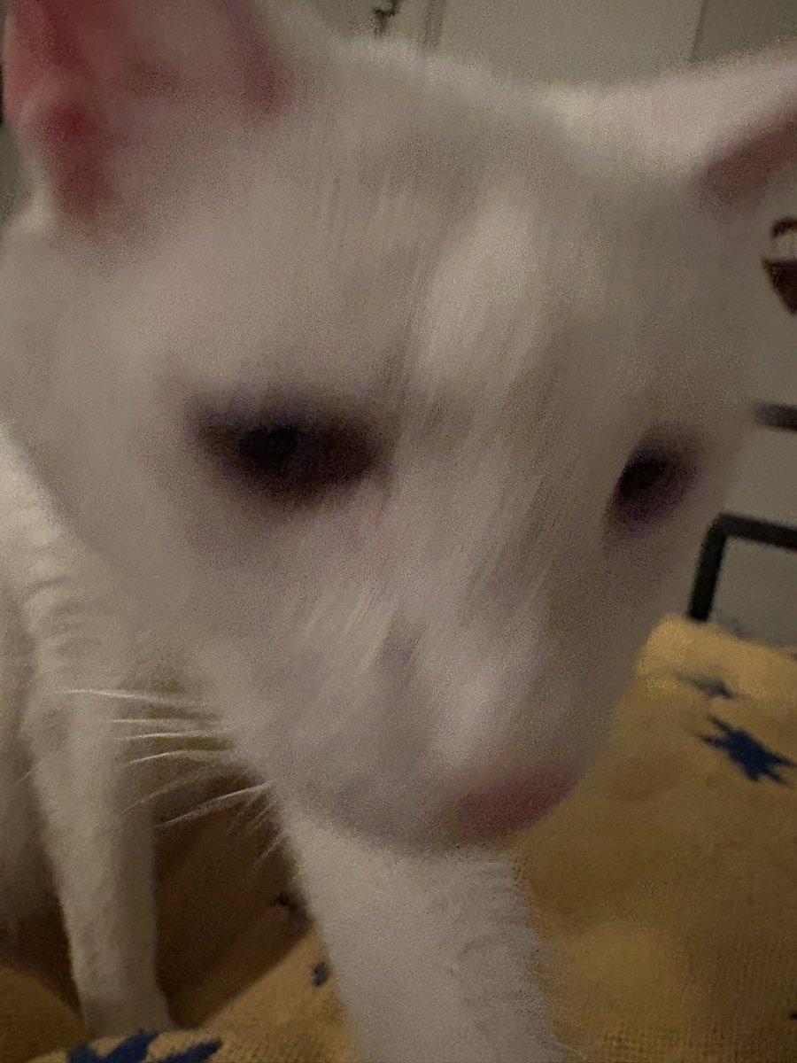 Paul Blart tweet media