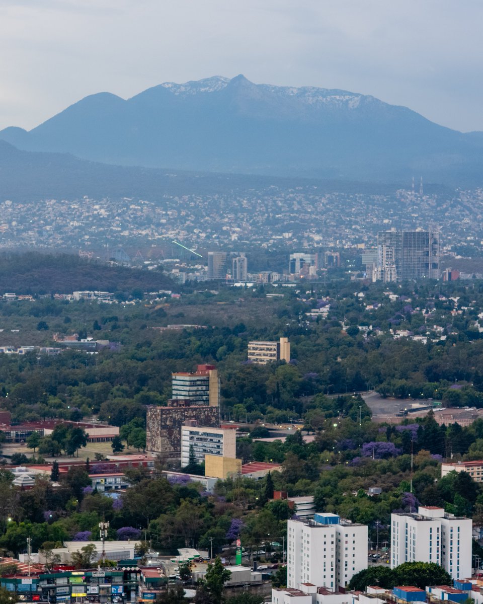 Andres Semo tweet media