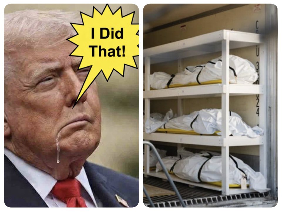 CjMtheIrish🍀 tweet media