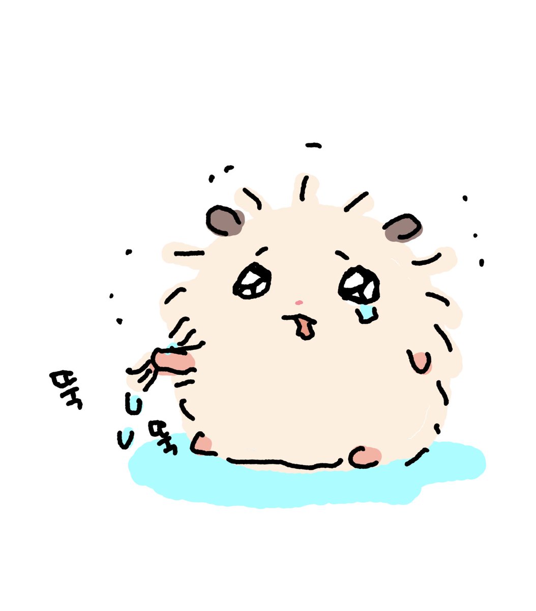 n_syuung's tweet photo. 촉촉한 햄스터가되🐹💦 https://t.co/wkYjjDFCuv
