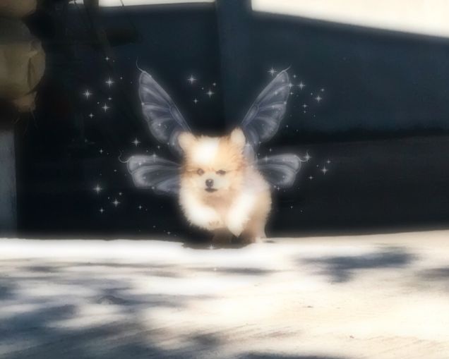 aylin ⏰ tweet media