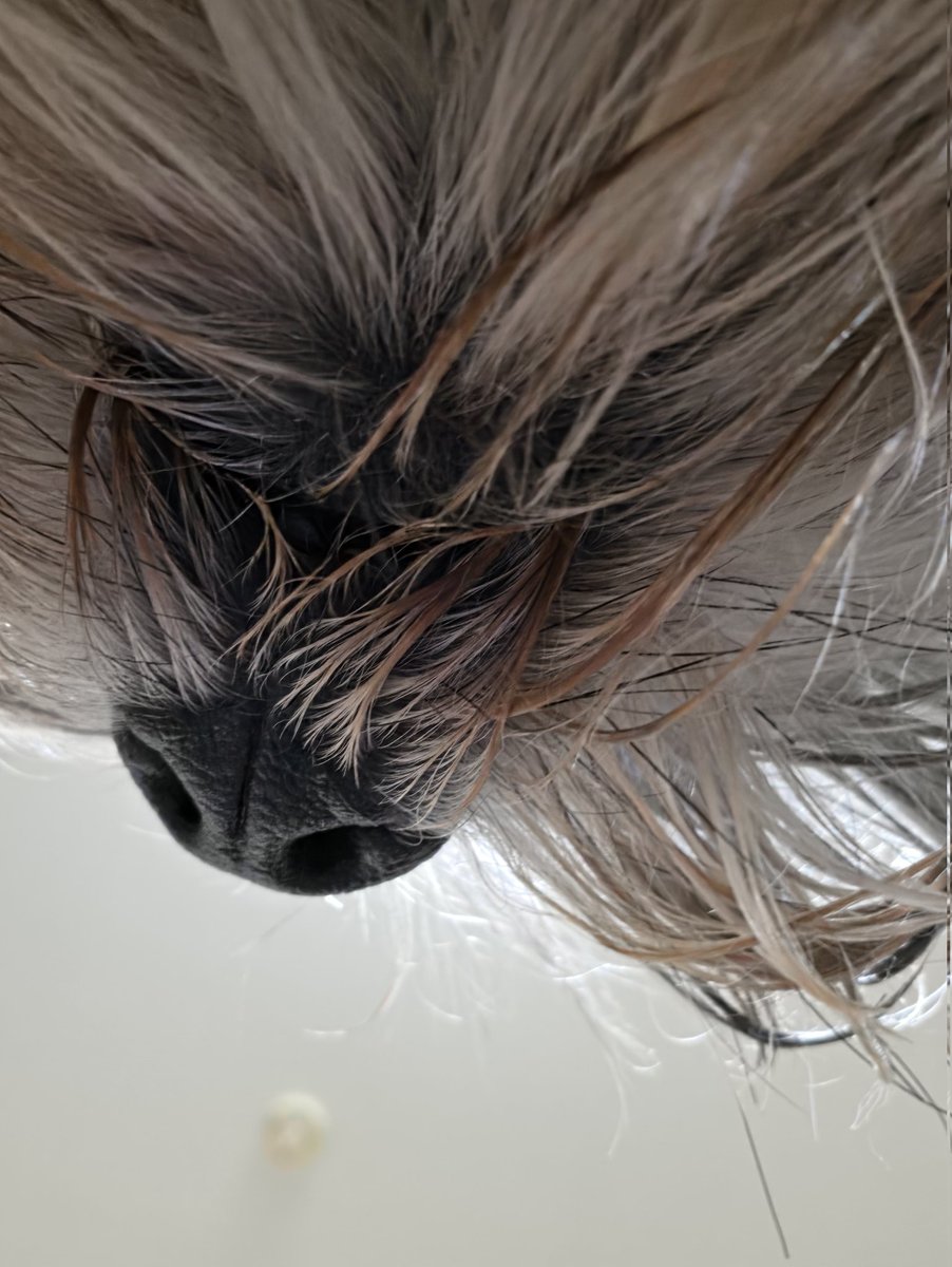 Mill_U._.U tweet media