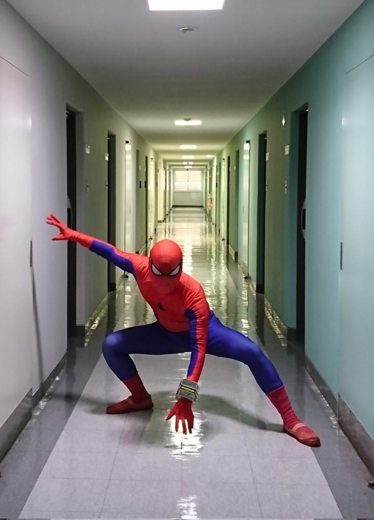 コーニッシュ tweet media