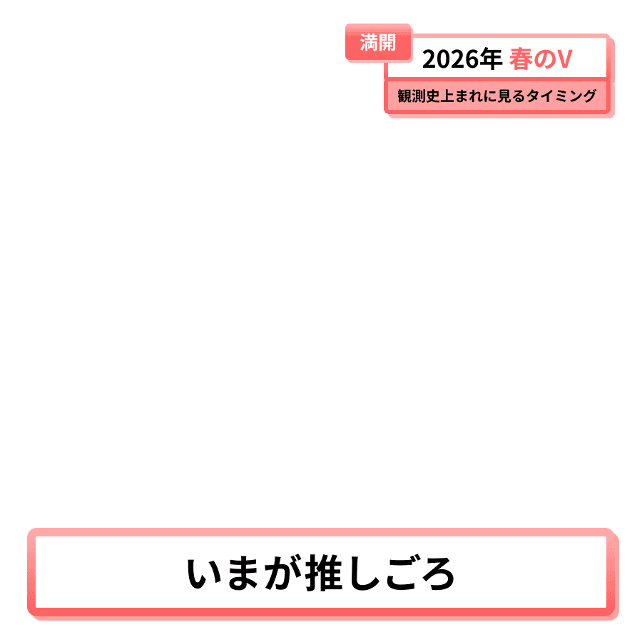 Alive Studio byGMOペパボ🧂 | 配信画面デザインサービス tweet media