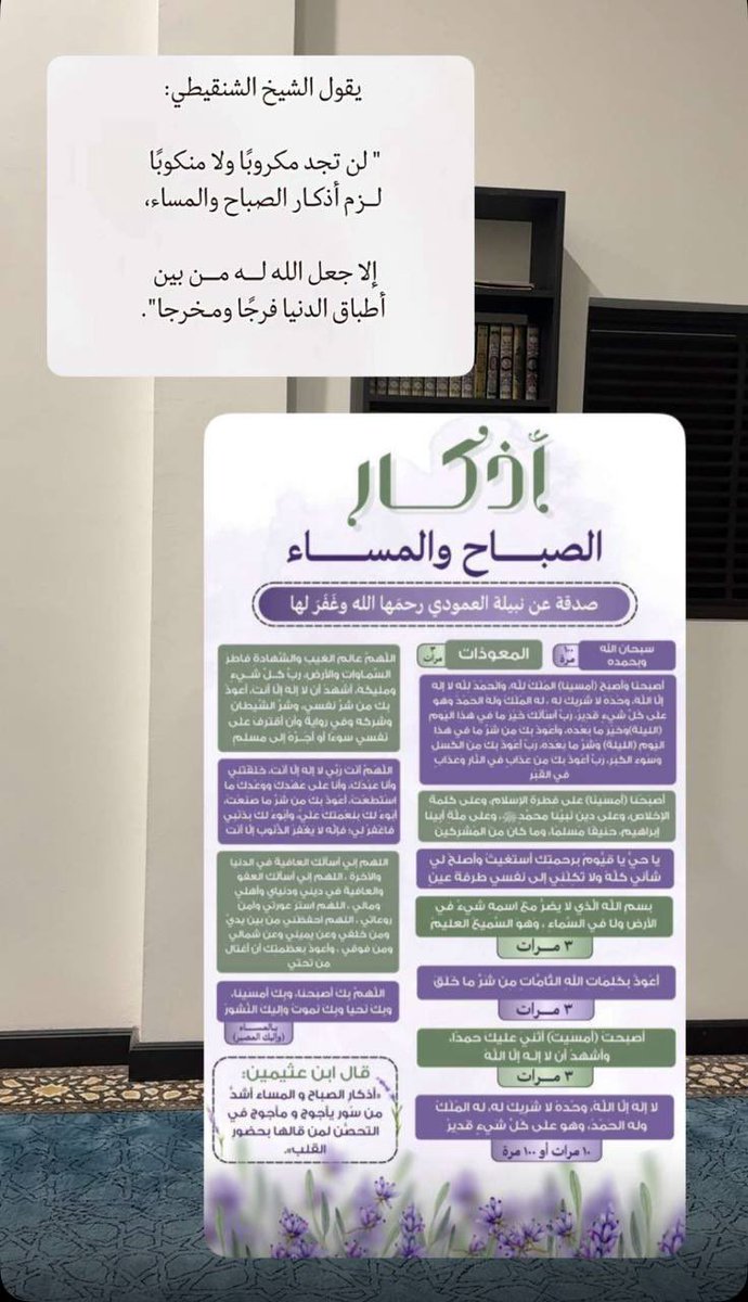 ميـرا 🌸🌿 tweet media