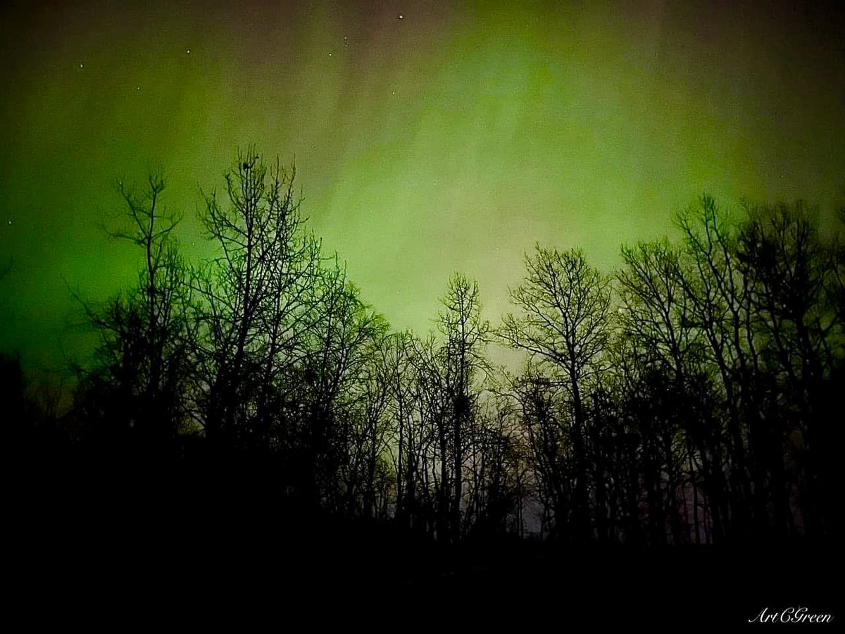 Arthur Craig Green tweet media