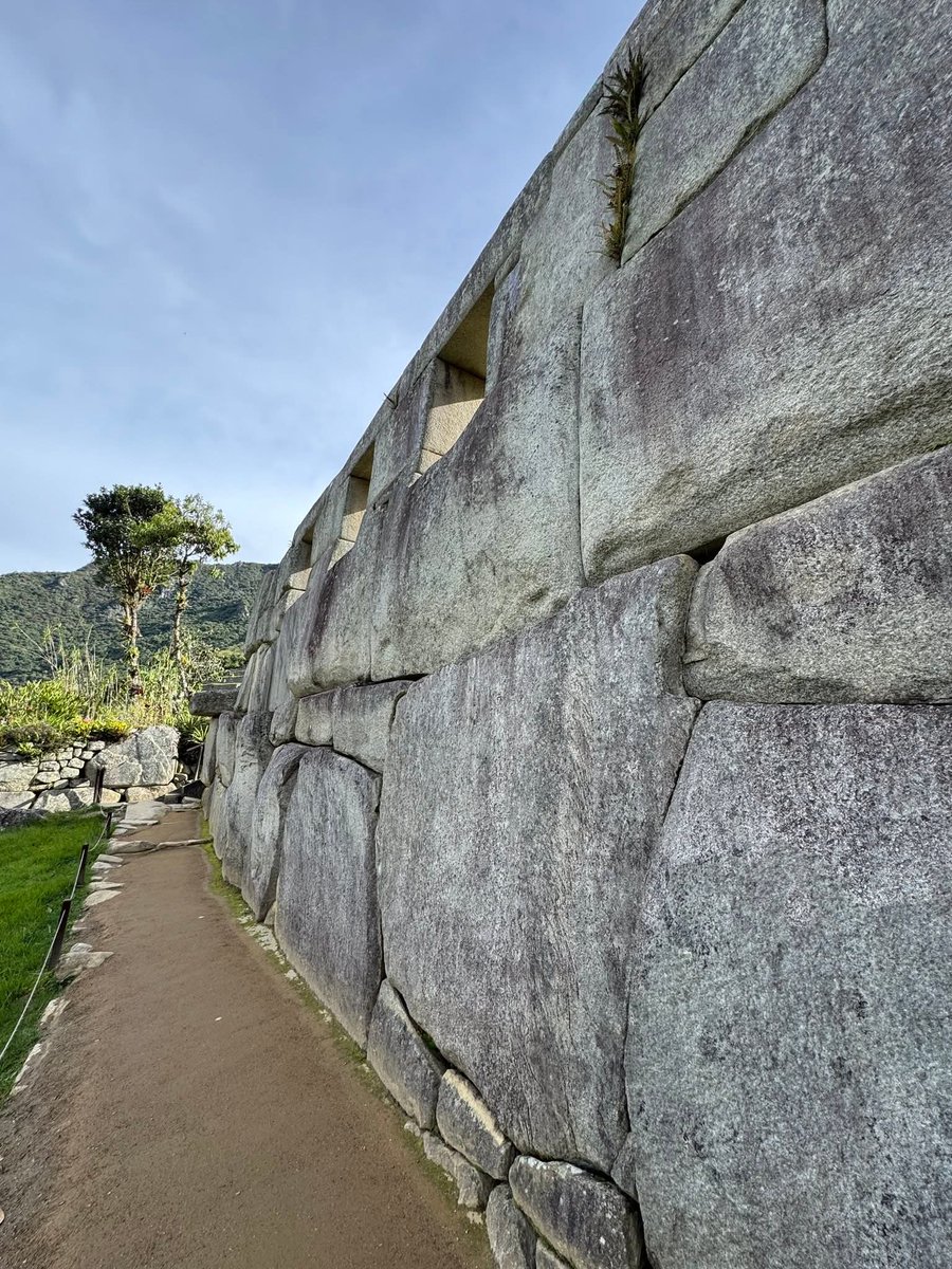 Ediciones Región. tweet media